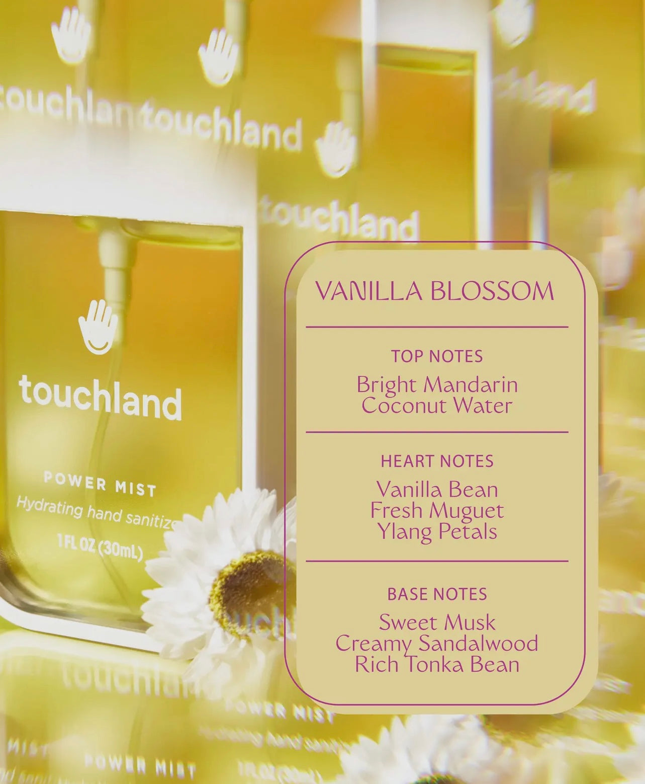 Touchland